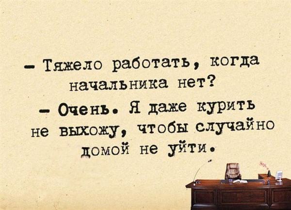 15 уморительных историй от пользователей интернета 15 уморительных историй от пользователей интернета
