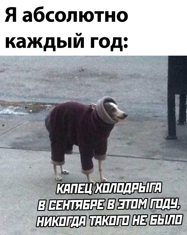 Подборка прикольных картинок  приколы,смешные картинки,юмор