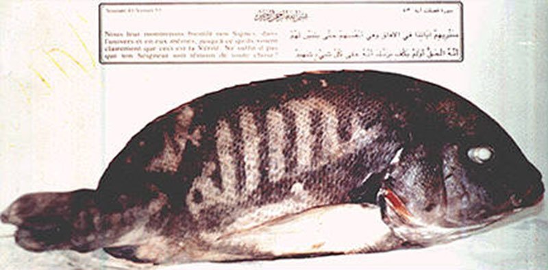 Рекордно дорогие вещи Рекордно дорогие вещи война и мир