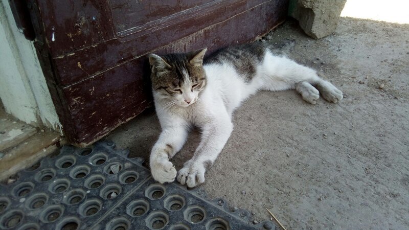 Фотозарисовки жизни в Монголии Фотозарисовки жизни в Монголии