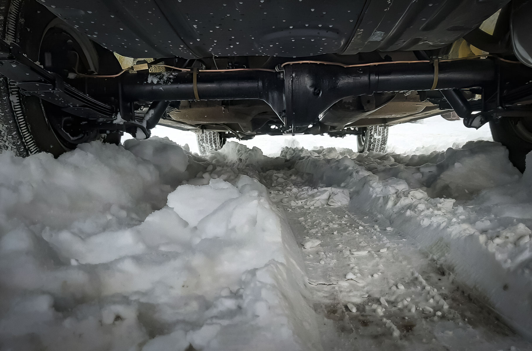 В России забытую на 25 лет в гараже «Волгу» продают по цене топовой Lada Granta В России забытую на 25 лет в гараже «Волгу» продают по цене топовой Lada Granta Новости