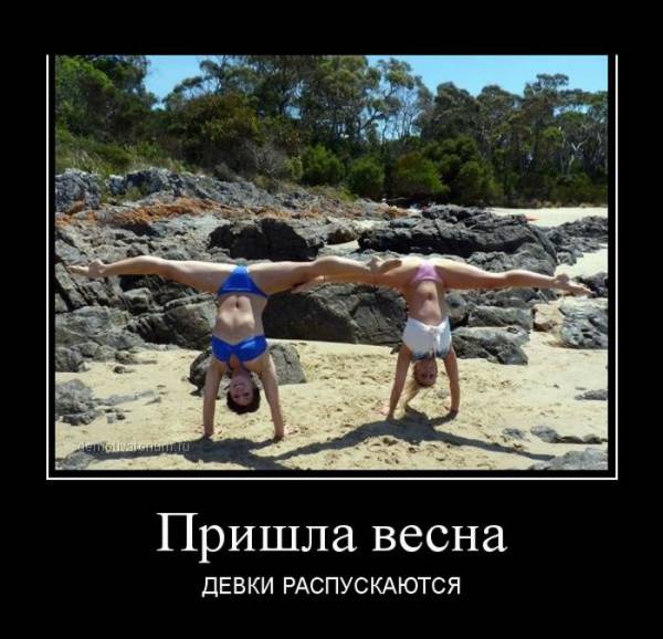 Утренние демотиваторы для хорошего настроения (11 фото)