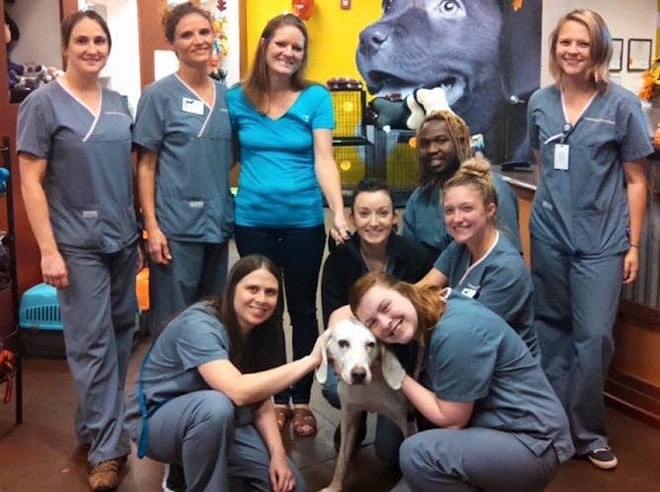 Люди и собака