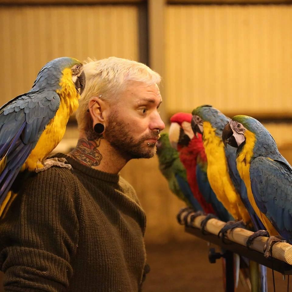 У любителя зверушек изъяли 113 экзотических домашних животных после ссоры с женихом У любителя зверушек изъяли 113 экзотических домашних животных после ссоры с женихом животные