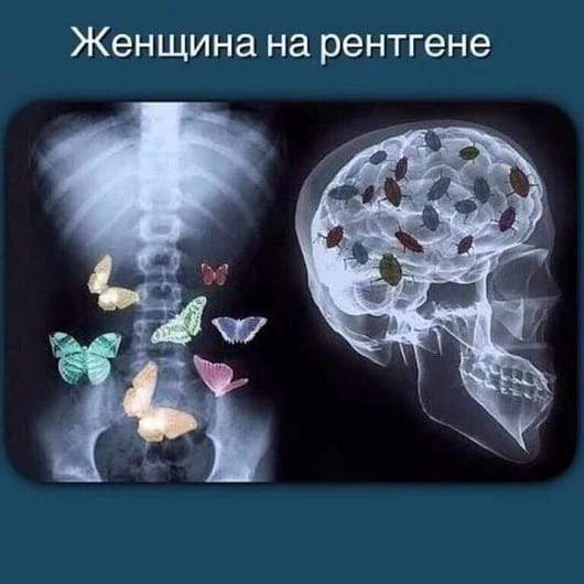 Курю только после секса, поэтому у меня здоровые легкие и печальные глаза анекдоты,веселье,демотиваторы,приколы,смех,юмор