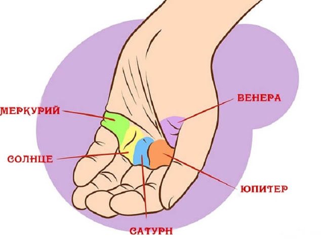 Все важные линии у вас на ладони