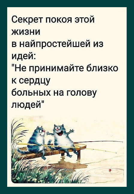 Свежие анекдоты и шутки, которые понравятся всем