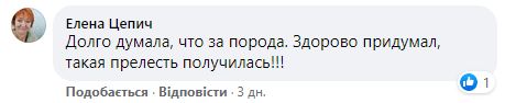 В Днепре шутник пугал местных жителей собакой в костюме льва на 1 апреля. Скриншот