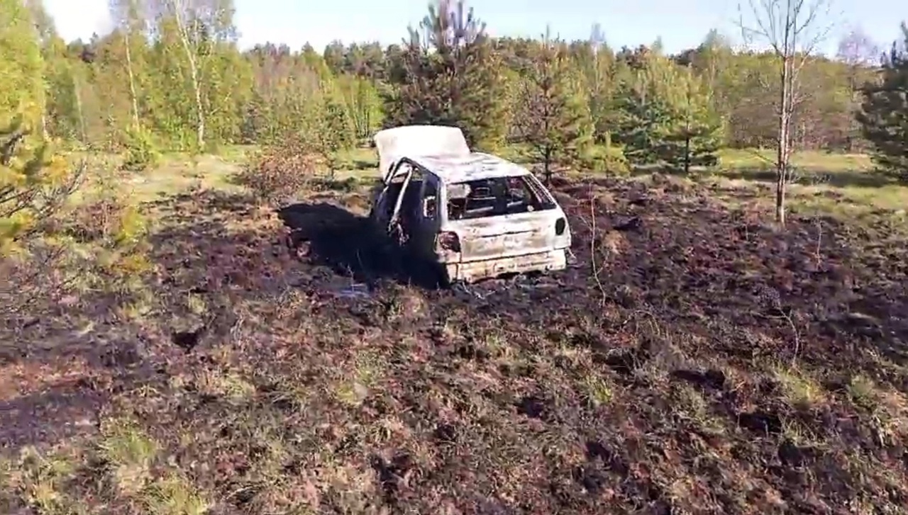 Водитель иномарки погиб при возгорании авто в Ковернинском районе