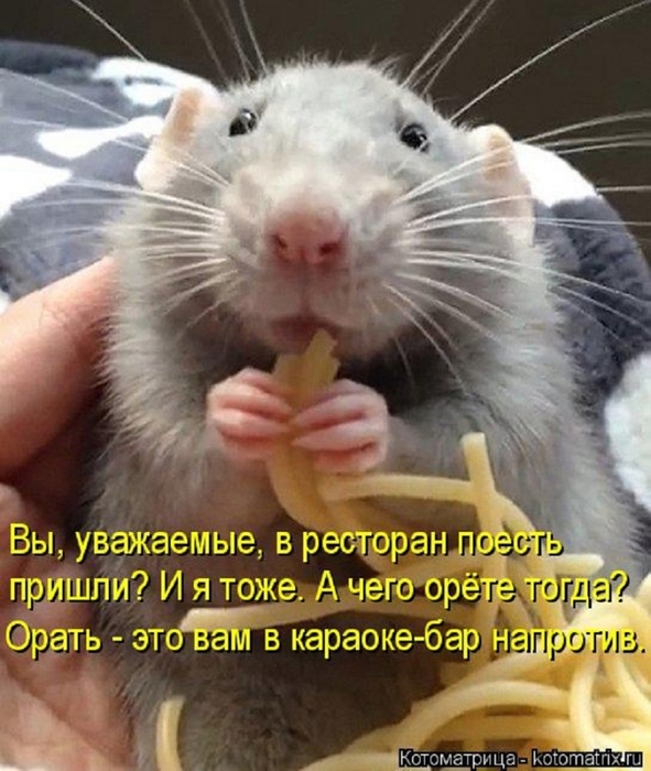 Ѩ  )))