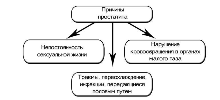 Основные симптомы при простатите простатита, может, случае, будет, заболевания, простаты, простатит, пациента, области, симптомы, мужчины, которые, могут, лечения, важно, крови, ощущения, воспаления, острого, мужчина