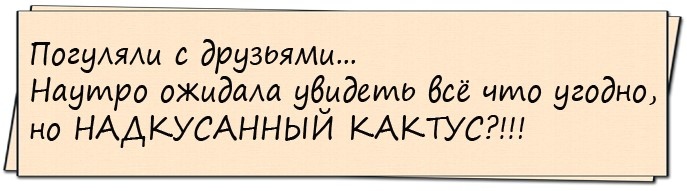 Можете ли вы мне сказать, где вы были в ночь с 3 на 4 апреля?... весёлые