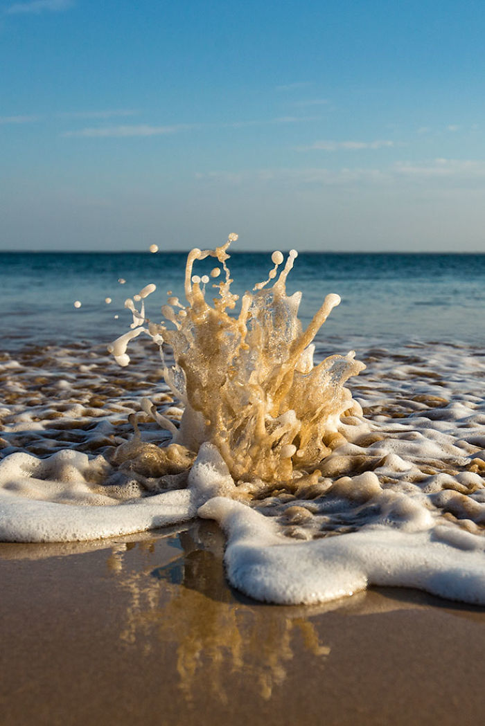 Ocean Fries