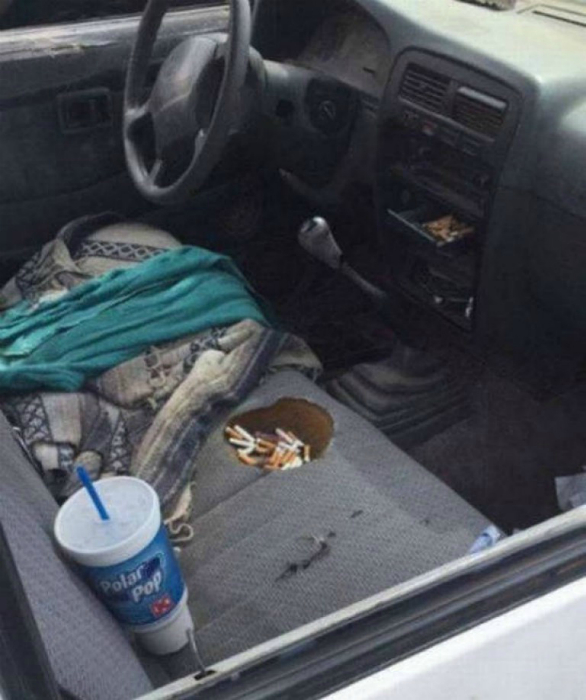 Краски жизни: 17 курьезных ситуаций, которые заставят улыбнуться