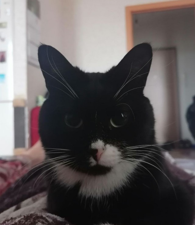 Вот он! Главный растратчик в семье...