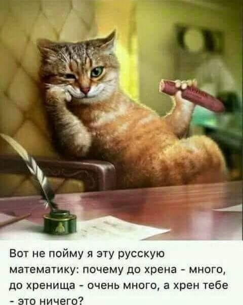 — Роза Моисеевна, вы не против поужинать вместе?... Мужик, посуду, угадал, доллар, Тогда, деньги, поможет, выпейте, сексуальной, который, пустыни, понравился, шарик, Вдруг, мужик, тюбик, наперстка, сидел, складном, стуле