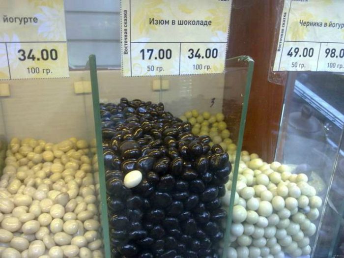 19 замечательных коллективов, в которые затесался чужак 