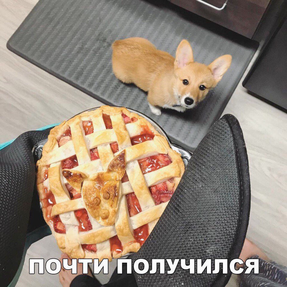 Прикольные и веселые картинки с надписями со смыслом 