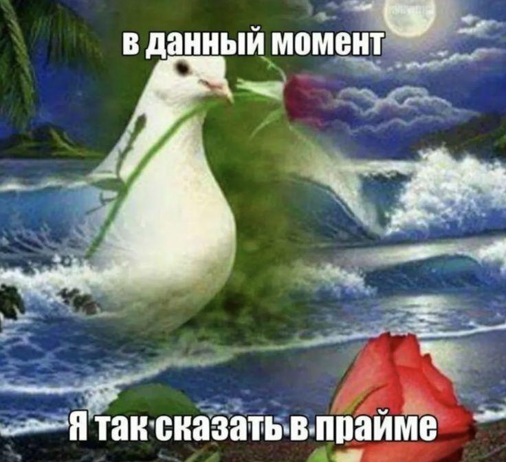 Эффект главного героя: что такое прайм, о котором говорят зумеры, и как его достичь жизнь, своей, жизни, наступает, кажется, можно, нужно, времени, прайме, хотите, такое, праймфото, жизнью, забывать, вперед, должен», получится, часто, прайм, может