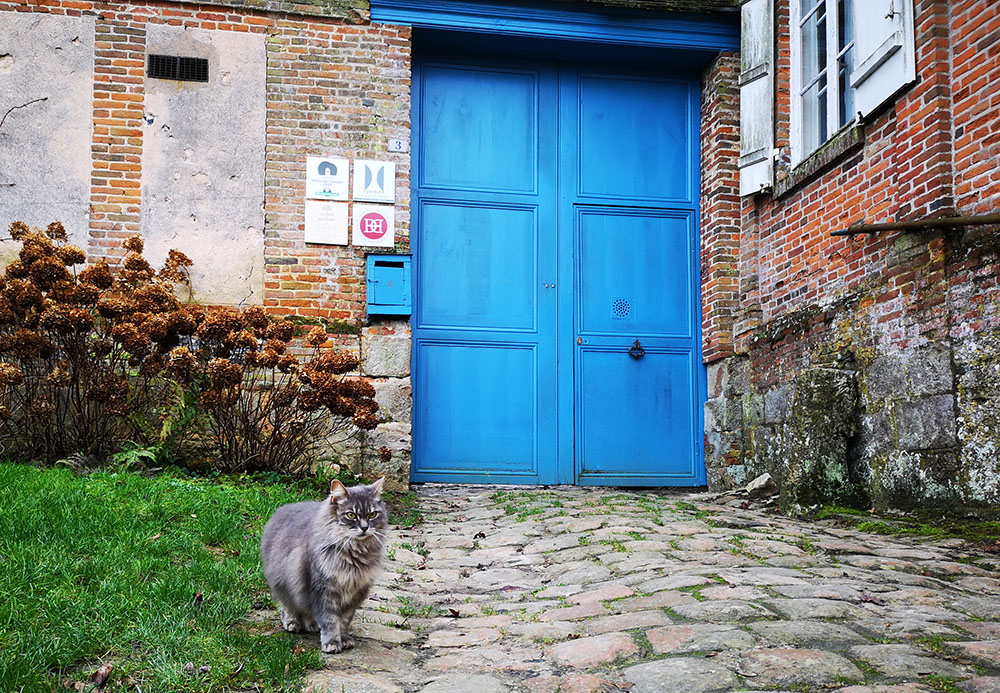 Жерберуа  – деревня роз в Пикардии авиатур