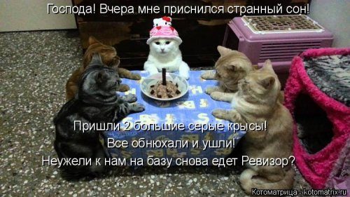 Самая убойная котоматрица 