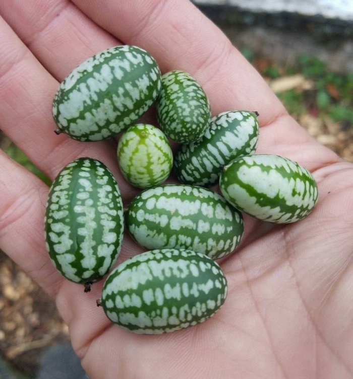 Фотоподборка субботы за всю неделю 