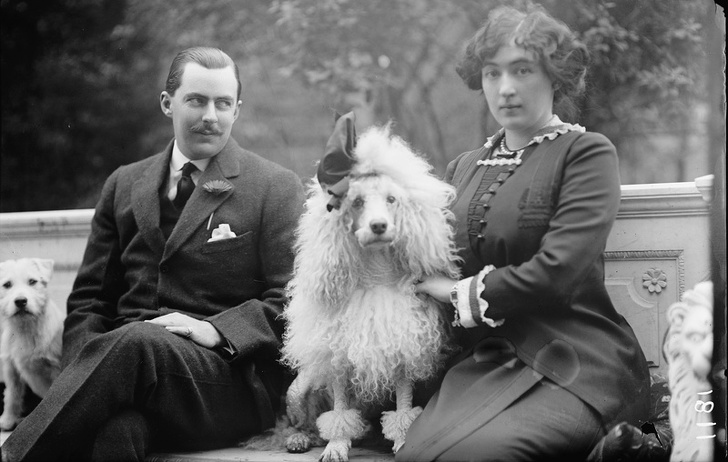 История прекрасного бриллианта Хоупа, который приносит своим владельцам несчастья История прекрасного бриллианта Хоупа, который приносит своим владельцам несчастья доказательства