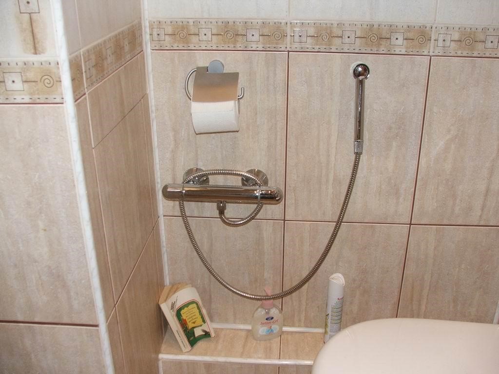 Как установить в туалете гигиенический