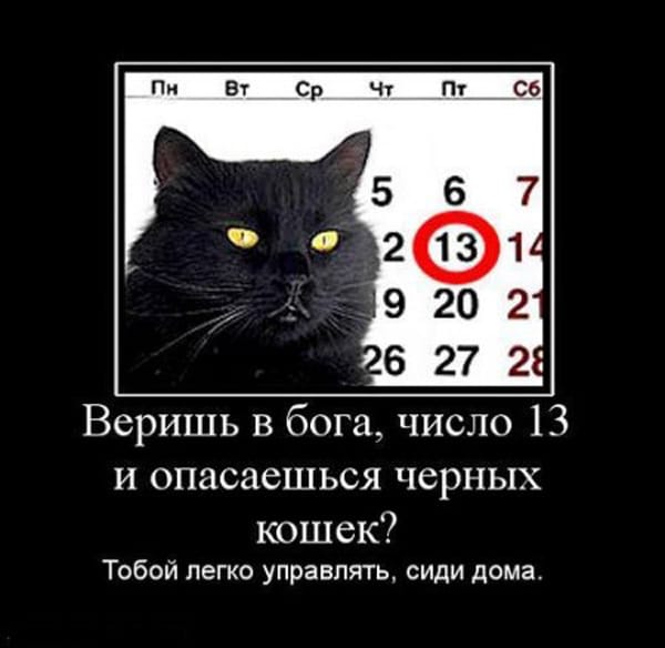 черный кот и календарь демотиватор