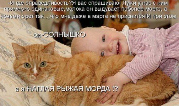 https://mtdata.ru/u18/photo5923/20193197473-0/original.jpg#20193197473