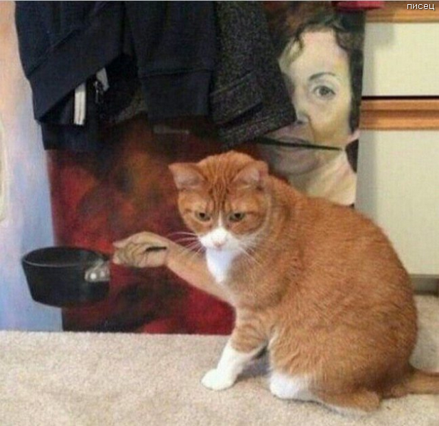 Офигенный обман зрения. Суперхит! Офигенный обман зрения. Суперхит! смешные картинки