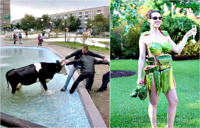 Краски жизни: 17 курьезных ситуаций, которые заставят улыбнуться