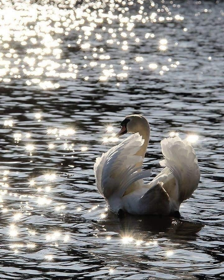 Как советские родители учили детей плавать и кататься на велосипедах – методы были суровыми 