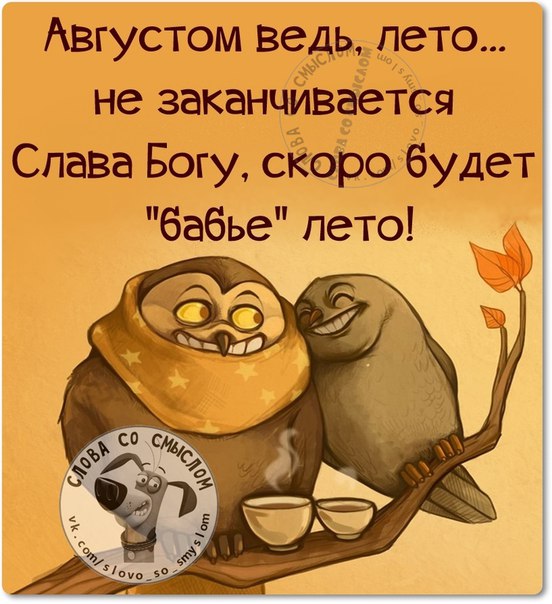 Для, картинки смешные лето закончилось