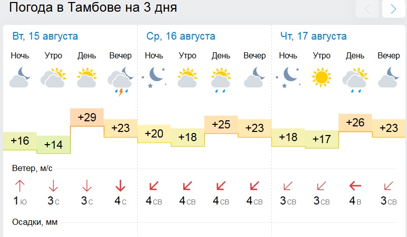 Погода в тамбовском на 3 дня