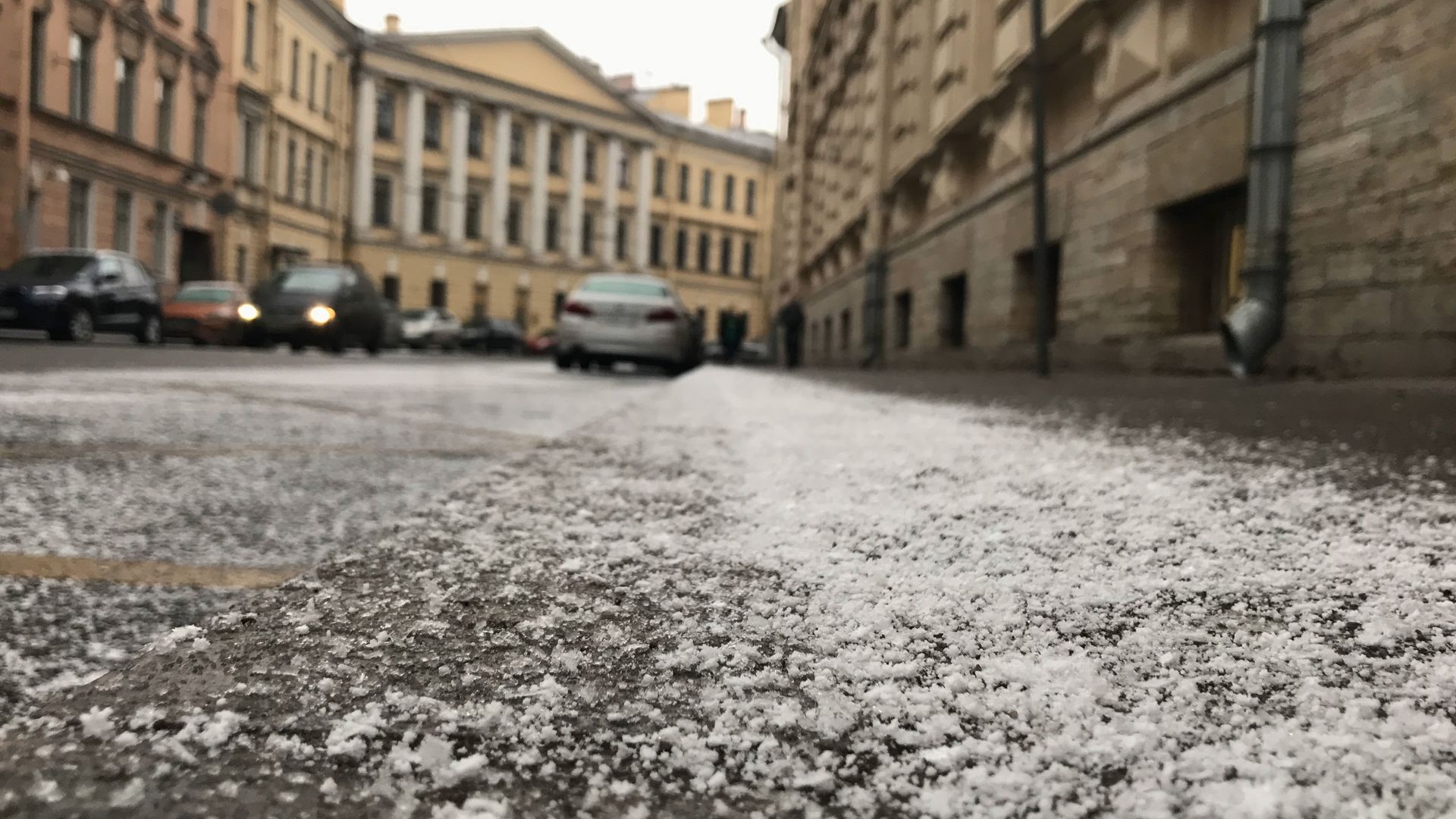 Заморозки в спб. Мокрый снег Питер. Снег в Питере. Мокрый снег в Петербурге. Дождь со снегом в Петербурге.