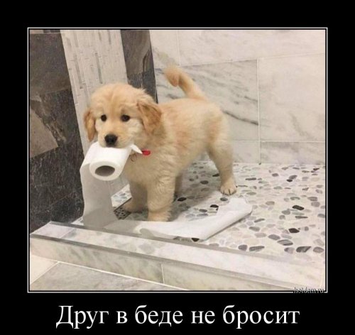 Демотиваторы для настроения Демотиваторы для настроения