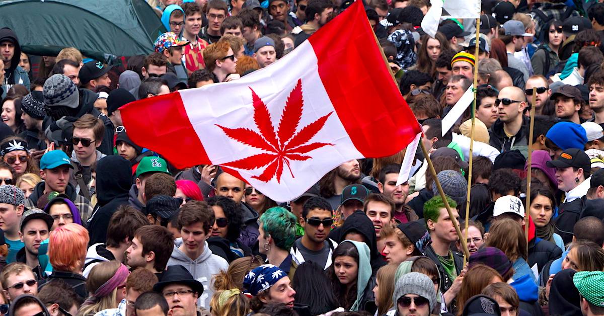 канада легализовала марихуану