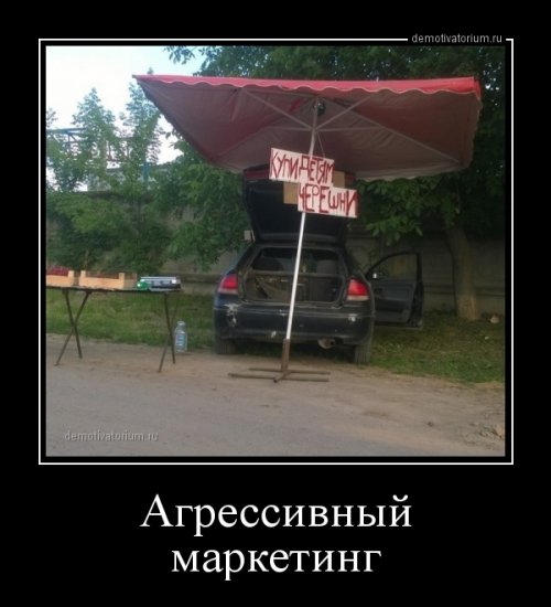 Новые демотиваторы для хорошего настроения (14 шт)