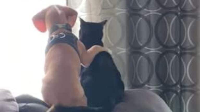 BeFunky-collage (33)