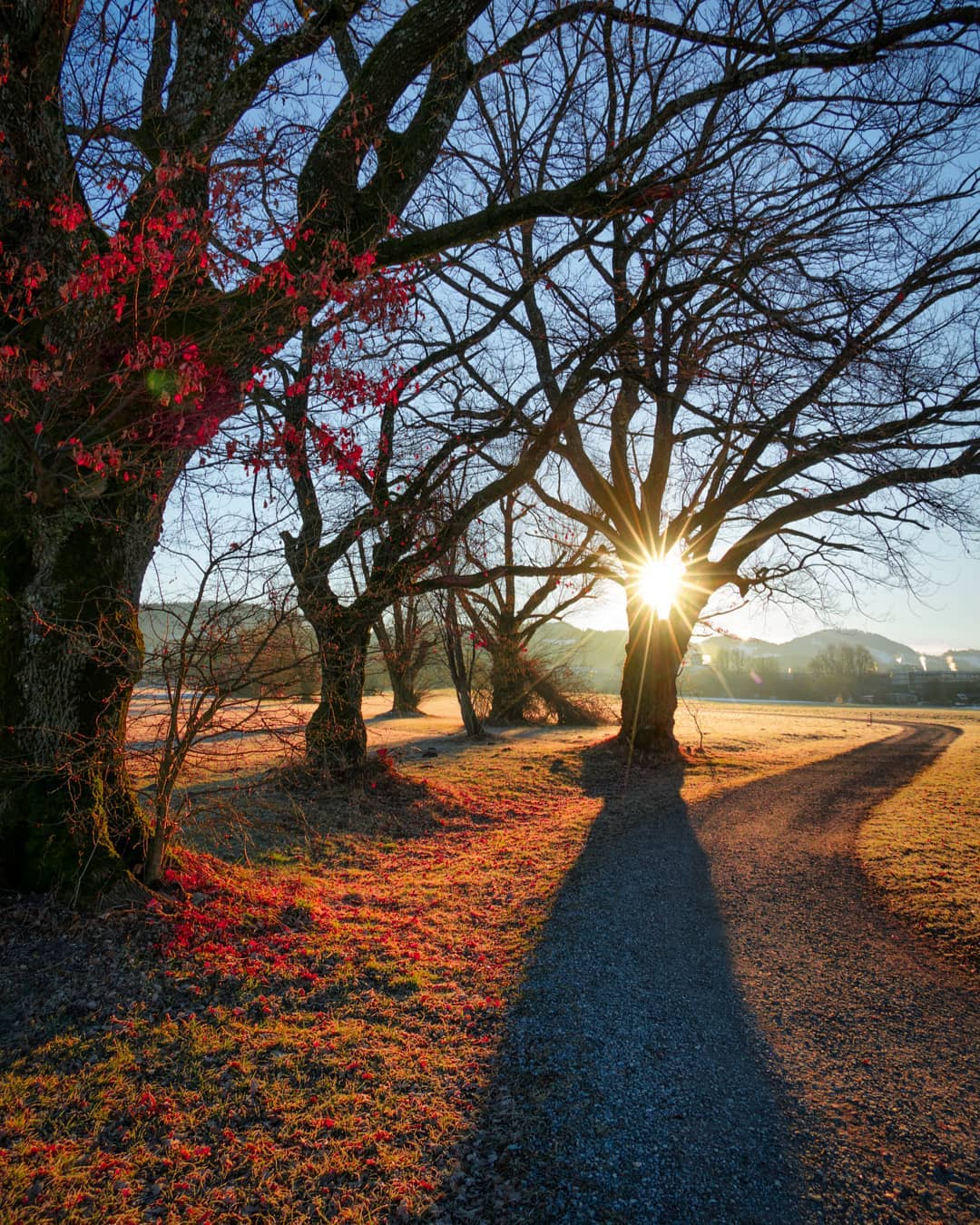 ������� ����� �� �����