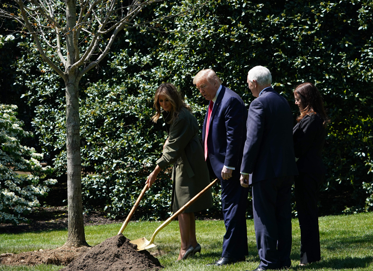 Мелания Трамп появилась на публике спустя полтора месяца самоизоляции Звезды,Новости о звездах