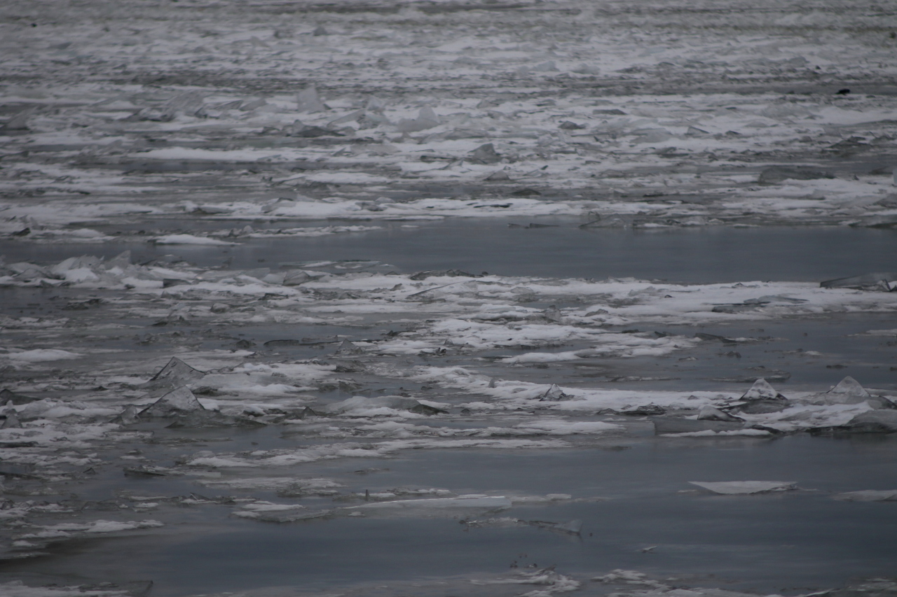 В марте на реках Ленобласти будет шумно. Рассказываем, для чего специалисты начинают взрывать лёд