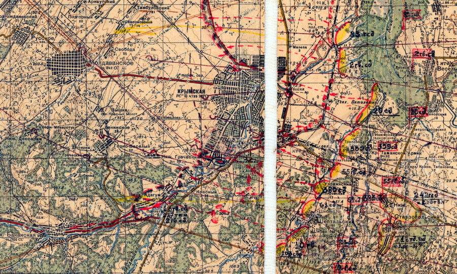​План наступления в районе станицы Крымская на начало июля 1943 года - Новороссийские «Шерманы» | Warspot.ru