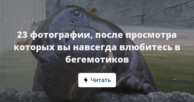 После просмотра которых. После просмотра которых