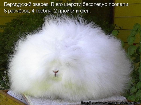 ÐÑÑÐ»Ð¸ Ð²ÑÐ»ÑÑ :)