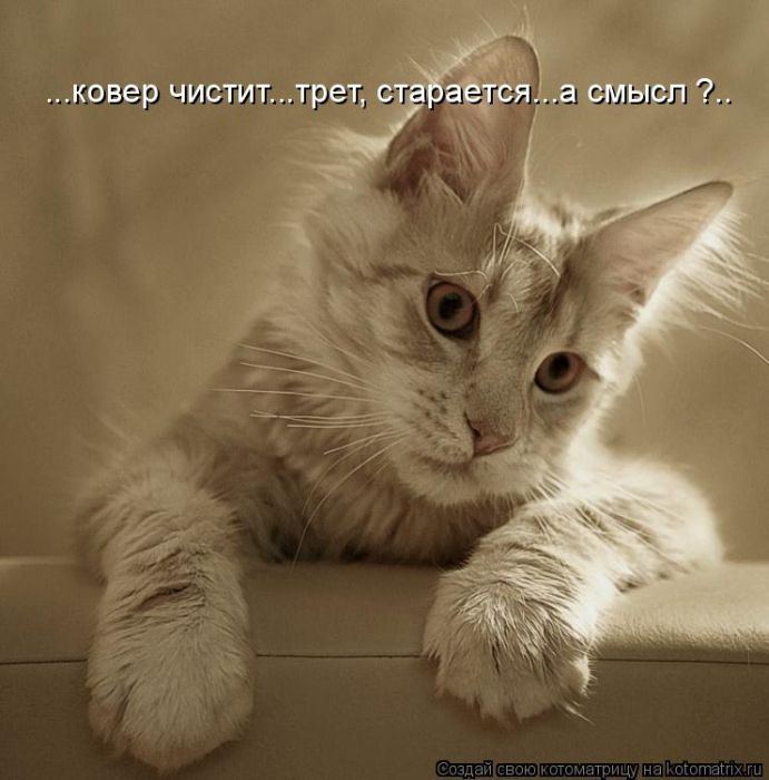 Мысли вслух :)