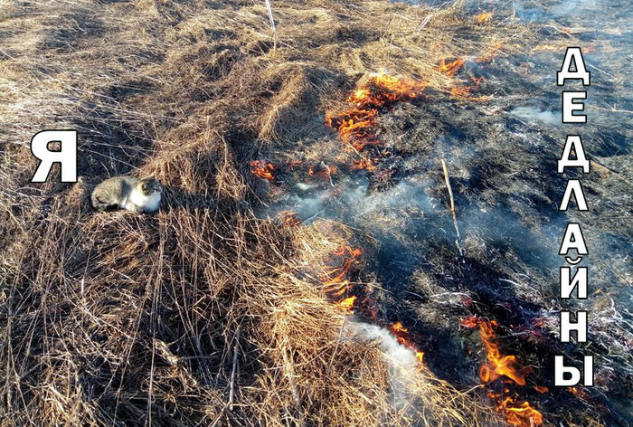 Подборка свежих мемов и картинок 