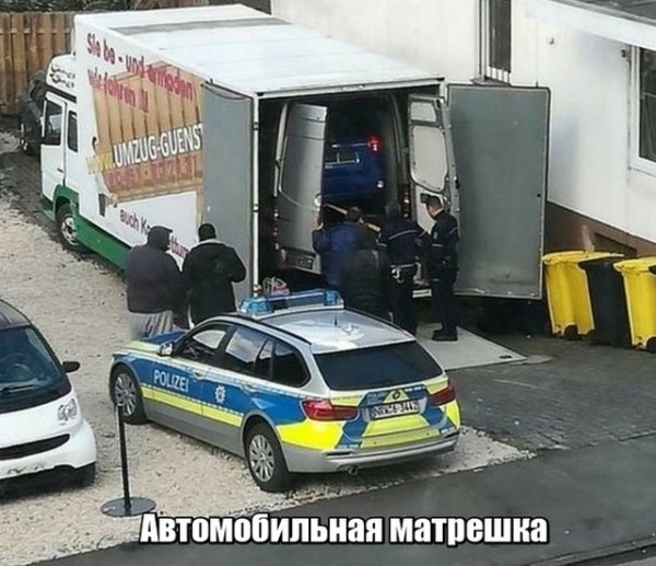 Слона на ходу остановит и хобот ему оторвет! Слона на ходу остановит и хобот ему оторвет! веселые картинки