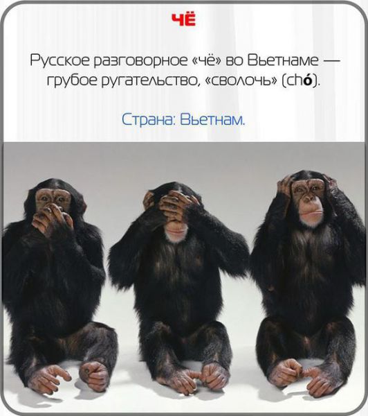 Сказал по-русски — выругался на иностранном веселые картинки